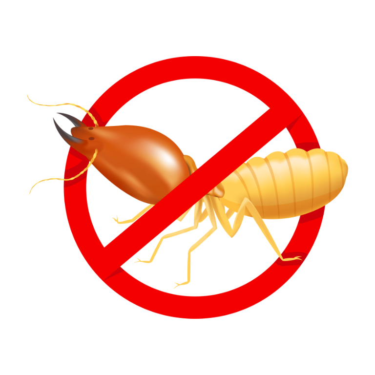 img/pest/6.png